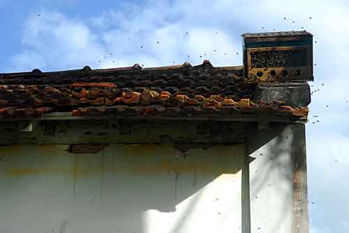 Capela dos Bueno