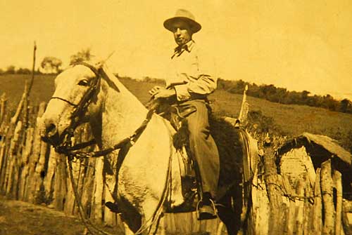 José Alves Filho