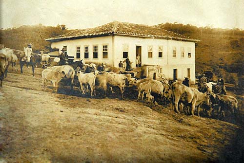 Fazenda Guaritá, Muzambinho, MG