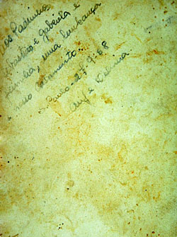 Delmira e Arif