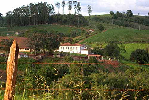 Fazenda Guiné, Juruaia, MG