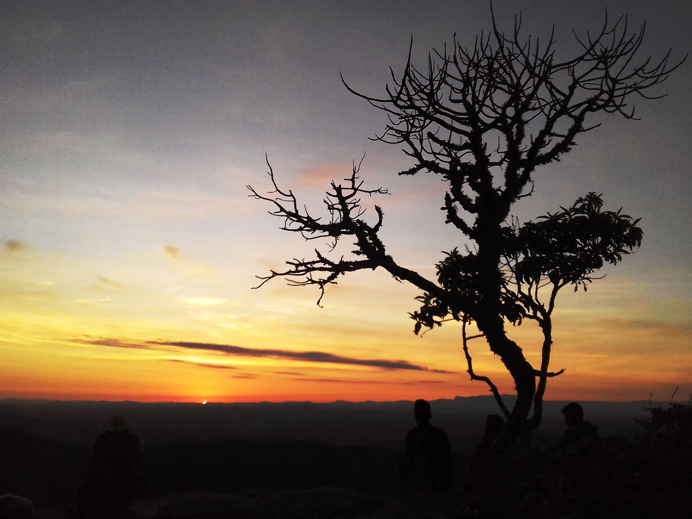 Nascer do sol
